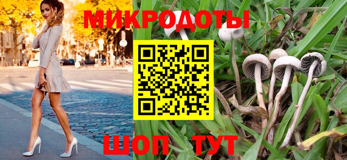 Иркутск  Галлюциногенные грибы Psilocybine cubensis  Вход с VPN 
